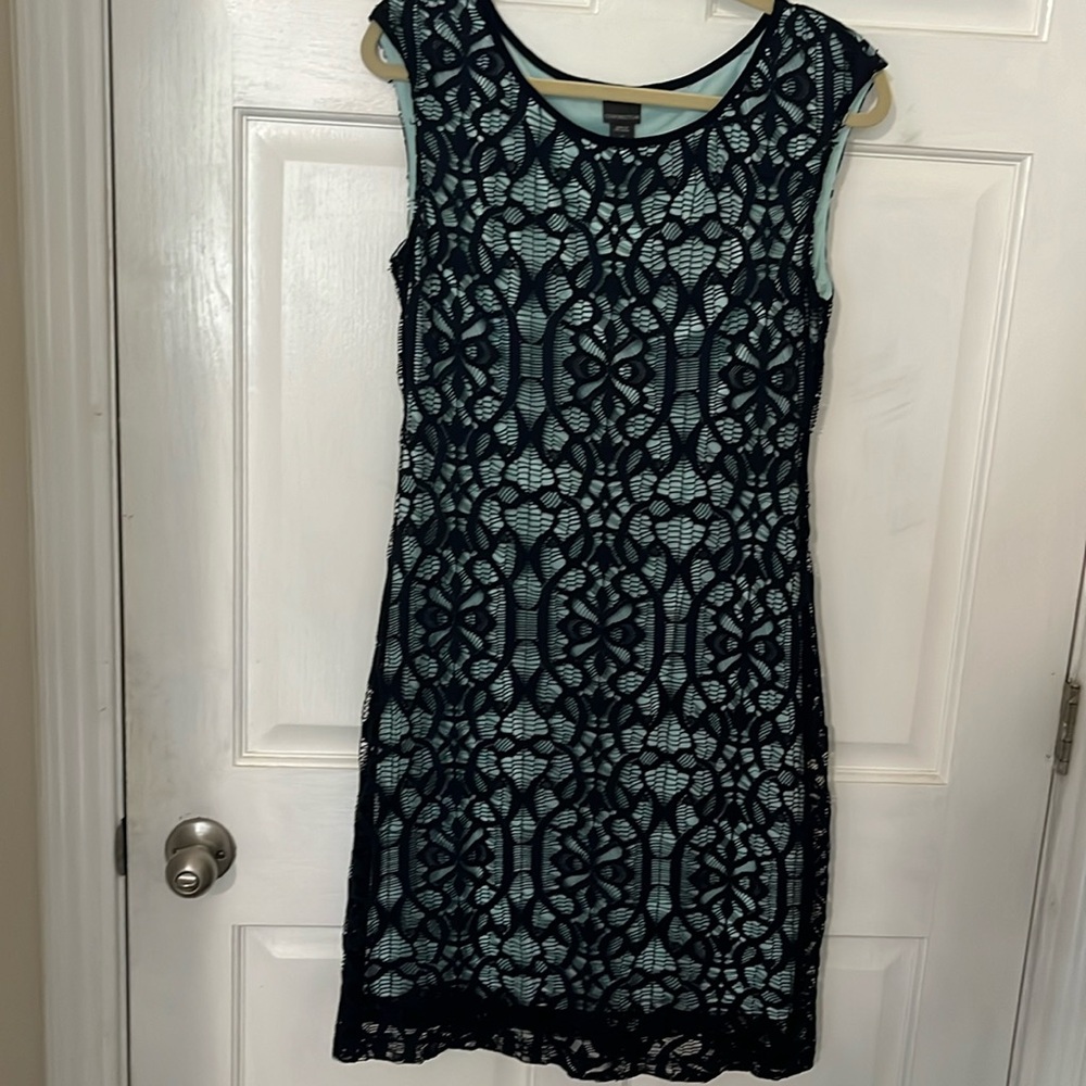 Stretch lace dress